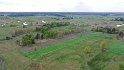 Urokliwa działka z warunkami zabudowy - Cieciory  -
podlaskie Zdjęcie nr 5