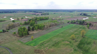 Urokliwa działka z warunkami zabudowy - Cieciory  -
podlaskie Zdjęcie nr 6