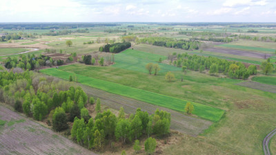 Urokliwa działka z warunkami zabudowy - Cieciory  -
podlaskie Zdjęcie nr 7