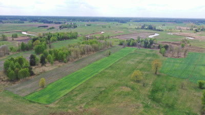 Urokliwa działka z warunkami zabudowy - Cieciory  -
podlaskie Zdjęcie nr 8