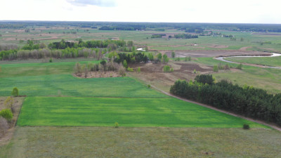 Działka nieopodal rzeki Pisy z warunkami zabudowy - Cieciory  -
podlaskie Zdjęcie nr 3