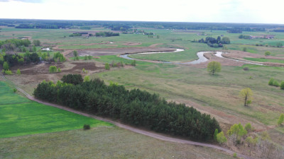 Działka nieopodal rzeki Pisy z warunkami zabudowy - Cieciory  -
podlaskie Zdjęcie nr 4