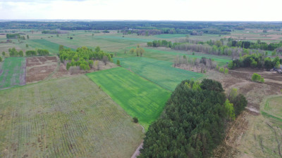Działka nieopodal rzeki Pisy z warunkami zabudowy - Cieciory  -
podlaskie Zdjęcie nr 5