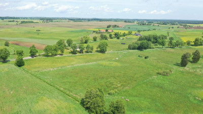 Działki bud Kożuchy Wielkie - Kożuchy Wielkie  -
warmińsko-mazurskie Zdjęcie nr 6