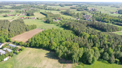 Super okazja - las w Starym Cydzynie w super cenie - Stary Cydzyn  -
podlaskie Zdjęcie nr 3