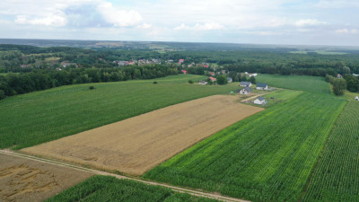 Malownicze działki budowlane Pniewo Łomżyński Park Krajobrazowy - Pniewo  -
podlaskie Zdjęcie nr 7