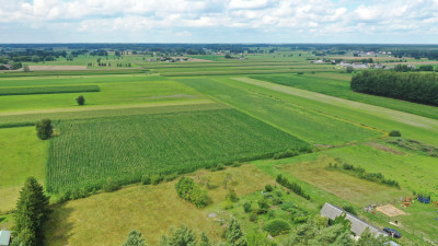 Cudowna działka na peryferiach Kadzidła - Kadzidło  -
mazowieckie Zdjęcie nr 6