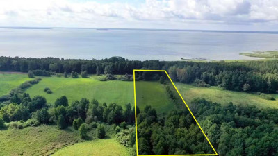 Działka rolna 154 ha Dziubiele gm Orzysz - Dziubiele  - warmińsko-mazurskie