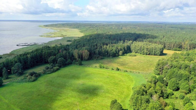 Działka rolna 154 ha Dziubiele gm Orzysz - Dziubiele  -
warmińsko-mazurskie Zdjęcie nr 3