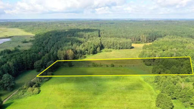 Działka rolna 154 ha Dziubiele gm Orzysz - Dziubiele  -
warmińsko-mazurskie Zdjęcie nr 4