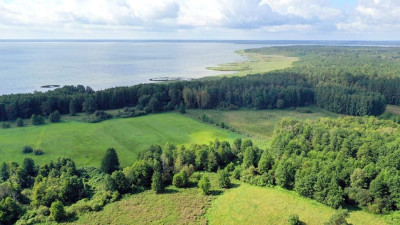 Działka rolna 154 ha Dziubiele gm Orzysz - Dziubiele  -
warmińsko-mazurskie Zdjęcie nr 5