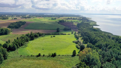 Działka rolna 154 ha Dziubiele gm Orzysz - Dziubiele  -
warmińsko-mazurskie Zdjęcie nr 7