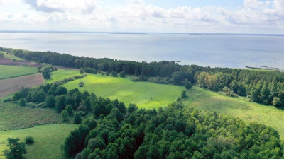 Działka rolna 154 ha Dziubiele gm Orzysz - Dziubiele  -
warmińsko-mazurskie Zdjęcie nr 8