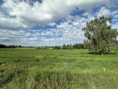 kompleks 5 działek z domem za 270 tys - Popowo Salęckie  -
warmińsko-mazurskie Zdjęcie nr 5