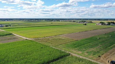 Działka z możliwością zabudowy - Czerwone  -
podlaskie Zdjęcie nr 3