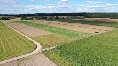 Działka z możliwością zabudowy - Czerwone  -
podlaskie Zdjęcie nr 4