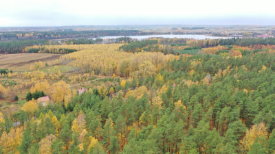 Na sprzedaż kompleks od 6 do 12 działek budowlanych  Rydzewo ul Mazurska 111 - Rydzewo  -
warmińsko-mazurskie Zdjęcie nr 8