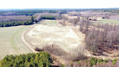 Marzysz o własnej działce To może być ta - Pstrągi-Gniewoty  -
podlaskie Zdjęcie nr 4