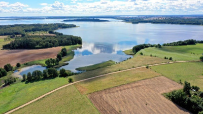 Działka bud 21 ha z linią brzegową jeziora Mamry - Trygort  -
warmińsko-mazurskie Zdjęcie nr 3