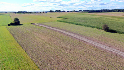 Działki pod Twój wymarzony dom blisko Kolna - Kolno  -
podlaskie Zdjęcie nr 14