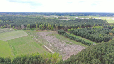 Grunty rolne z potencjałem - Pupki  -
podlaskie Zdjęcie nr 2