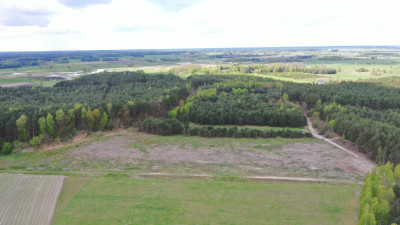 Grunty rolne z potencjałem - Pupki  -
podlaskie Zdjęcie nr 3