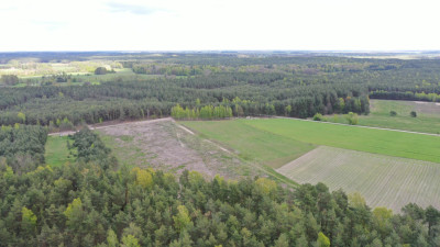 Grunty rolne z potencjałem - Pupki  -
podlaskie Zdjęcie nr 7