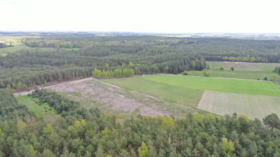 Grunty rolne z potencjałem - Pupki  -
podlaskie Zdjęcie nr 8