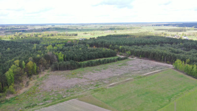 Grunty rolne z potencjałem - Pupki  -
podlaskie Zdjęcie nr 9