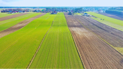 Działki budowlane w atrakcyjnej cenie blisko Łomży - Stare Modzele  -
podlaskie Zdjęcie nr 10