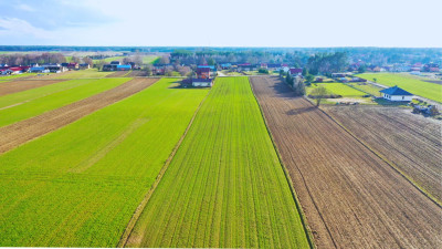 Działki budowlane w atrakcyjnej cenie blisko Łomży - Stare Modzele  -
podlaskie Zdjęcie nr 12