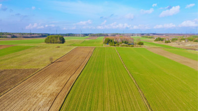 Działki budowlane w atrakcyjnej cenie blisko Łomży - Stare Modzele  -
podlaskie Zdjęcie nr 6