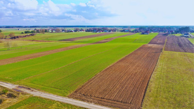 Działki budowlane w atrakcyjnej cenie blisko Łomży - Stare Modzele  -
podlaskie Zdjęcie nr 8