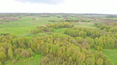 Działka Rolna 777 ha Langanki - Langanki  -
warmińsko-mazurskie Zdjęcie nr 11