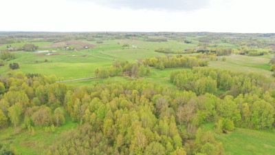 Działka Rolna 777 ha Langanki - Langanki  -
warmińsko-mazurskie Zdjęcie nr 12