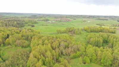 Działka Rolna 777 ha Langanki - Langanki  -
warmińsko-mazurskie Zdjęcie nr 13