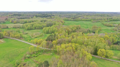 Działka Rolna 777 ha Langanki - Langanki  -
warmińsko-mazurskie Zdjęcie nr 6