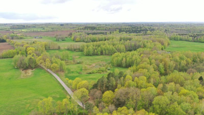 Działka Rolna 777 ha Langanki - Langanki  -
warmińsko-mazurskie Zdjęcie nr 7