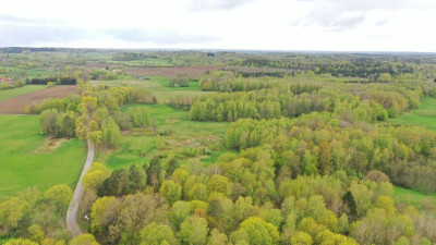 Działka Rolna 777 ha Langanki - Langanki  -
warmińsko-mazurskie Zdjęcie nr 8