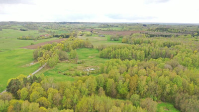 Działka Rolna 777 ha Langanki - Langanki  -
warmińsko-mazurskie Zdjęcie nr 9