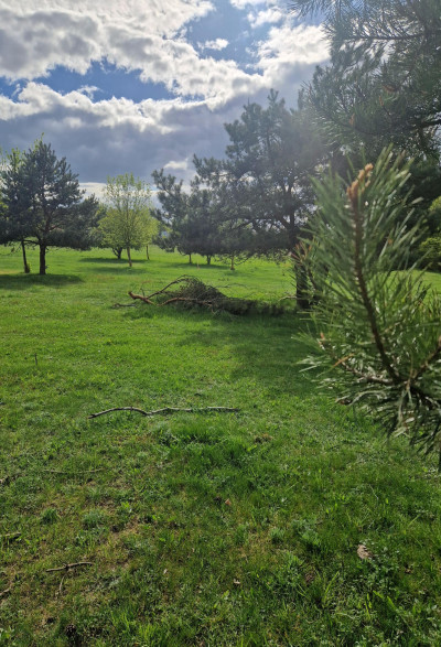 Działki budowlane w pobliżu rzeki - Nowogród  -
podlaskie Zdjęcie nr 9