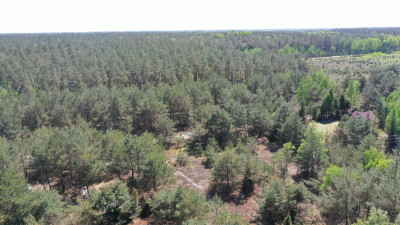 Działka rekreacyjna- super cena - Mącice  -
mazowieckie Zdjęcie nr 5