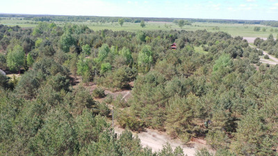 Działka rekreacyjna- super cena - Mącice  -
mazowieckie Zdjęcie nr 6