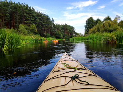 Działka obok rzeki w Krutyni 1220 ha - Krutyń  -
warmińsko-mazurskie Zdjęcie nr 4