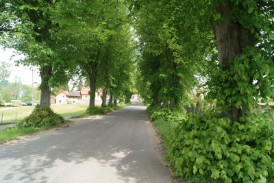 Działka obok rzeki w Krutyni 1220 ha - Krutyń  -
warmińsko-mazurskie Zdjęcie nr 7