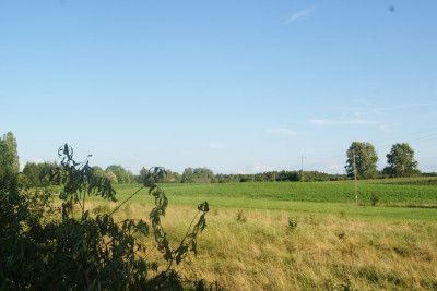 Zostań Lordem Kozłowa  Działka na Mazurach Czeka na Ciebie - Kozłowo  -
warmińsko-mazurskie Zdjęcie nr 3
