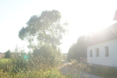 Zostań Lordem Kozłowa  Działka na Mazurach Czeka na Ciebie - Kozłowo  -
warmińsko-mazurskie Zdjęcie nr 7