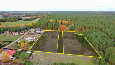 Malownicze działki w sąsiedztwie lasu Motyka - Motyka  -
podlaskie Zdjęcie nr 2