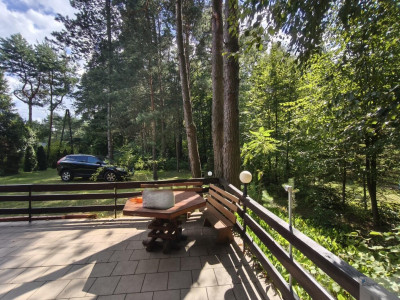 Piękna działka na Szlaku Orlich Gniazd blisko Pustyni Błędowskiej - Klucze  -
małopolskie Zdjęcie nr 5