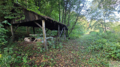 5000 m2 działki budowlanej w malowniczej Jurze - Zdów  -
śląskie Zdjęcie nr 10